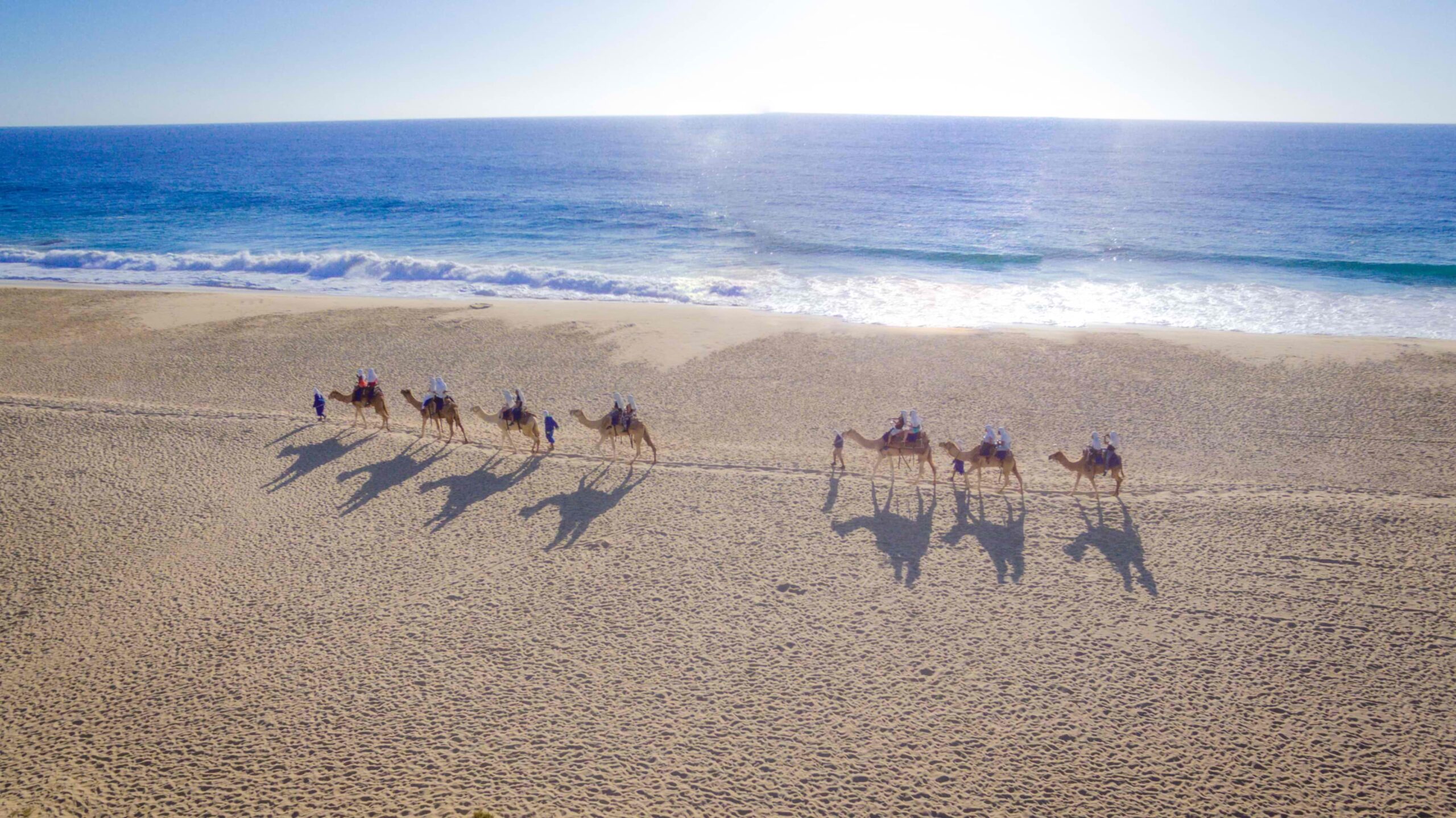 CAMEL RIDE2